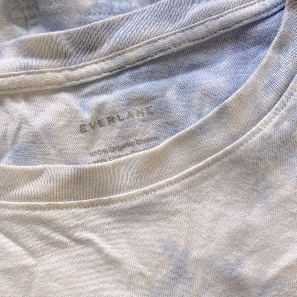 Everlane tie dyed cropped T-shirt